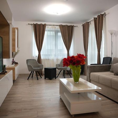 Brigitte Apartment 布拉索夫 外观 照片