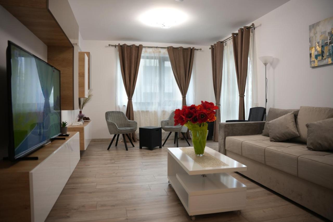 Brigitte Apartment 布拉索夫 外观 照片