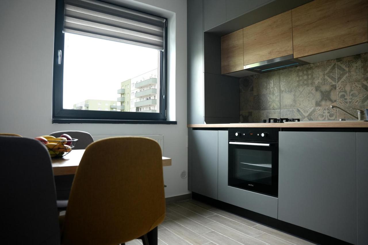 Brigitte Apartment 布拉索夫 外观 照片
