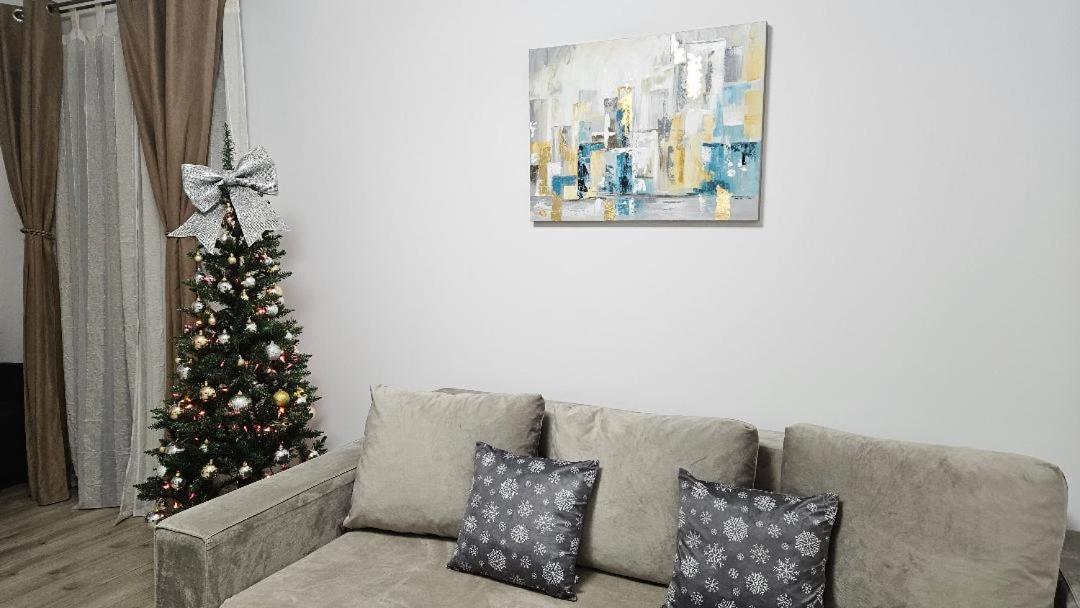 Brigitte Apartment 布拉索夫 外观 照片