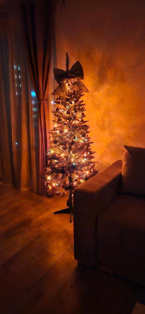 Brigitte Apartment 布拉索夫 外观 照片
